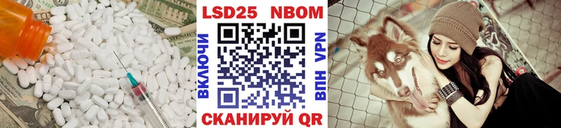 дарк нет наркотические препараты  Александровск  LSD-25 экстази ecstasy 