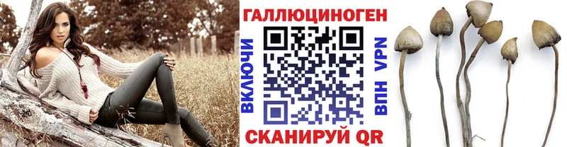 Галлюциногенные грибы мицелий  мориарти Telegram  Александровск 
